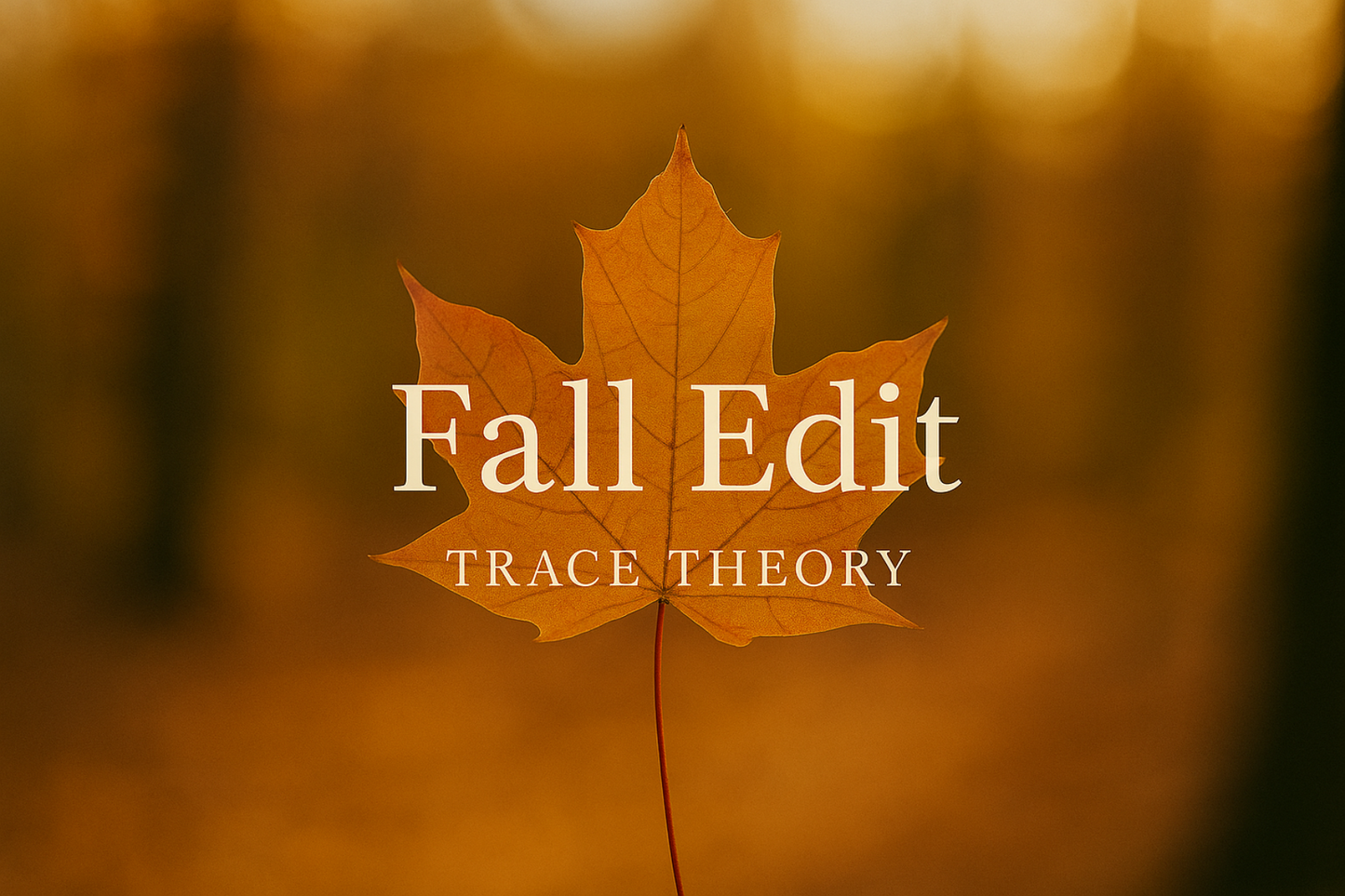 The Fall Edit