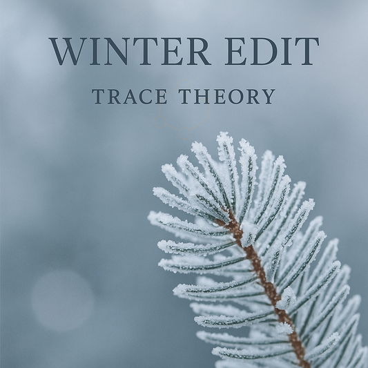 The Winter Edit